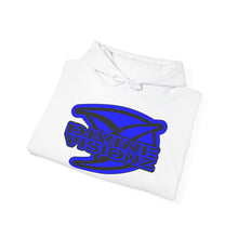 Load image into Gallery viewer, Divine Visionz Streetwear Insignia Hooded Sweatshirt