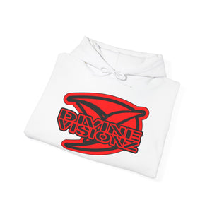 Divine Visionz Streetwear Insignia Hooded Sweatshirt