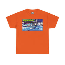 Load image into Gallery viewer, DVZ Shorty&#39;s Skatepark Graphic Tee