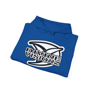 Divine Visionz Streetwear Insignia Hooded Sweatshirt