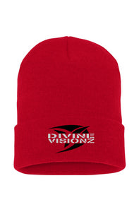 DVZ Brand Cuffed Beanie