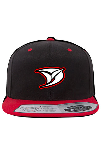 DVZ Logo Snapback Two-Tone Cap