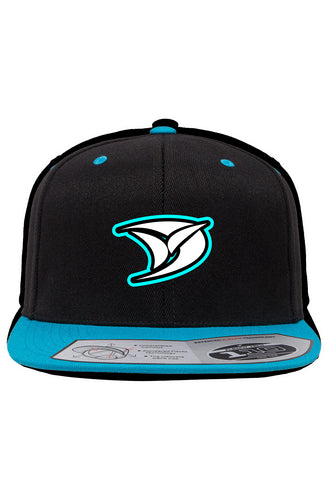 DVZ Logo Snapback Two-Tone Cap