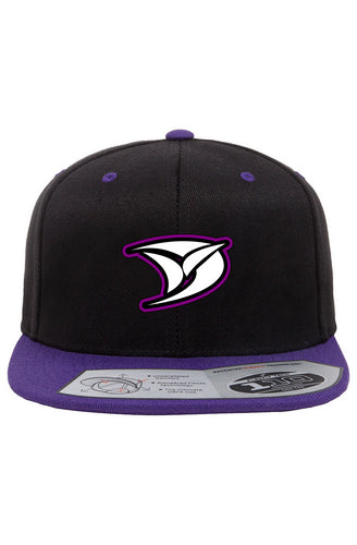 DVZ Logo Snapback Two-Tone Cap