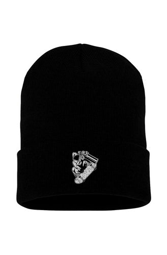 Visionz Cuffed Beanie