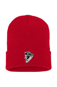 Visionz Cuffed Beanie