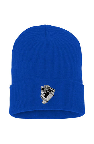 Visionz Cuffed Beanie