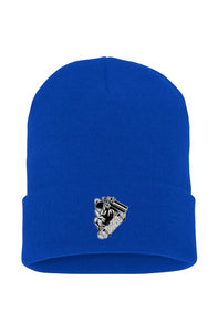 Visionz Cuffed Beanie