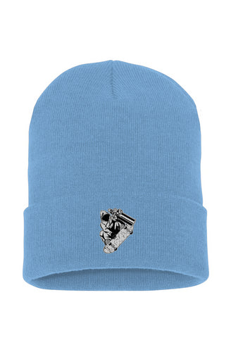 Visionz Cuffed Beanie