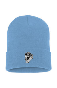 Visionz Cuffed Beanie