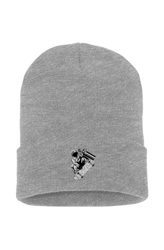 Visionz Cuffed Beanie