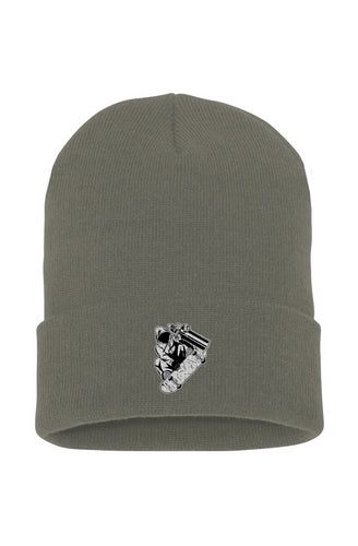 Visionz Cuffed Beanie