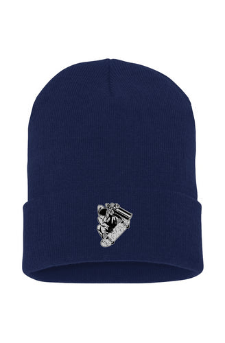 Visionz Cuffed Beanie