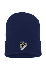 Visionz Cuffed Beanie