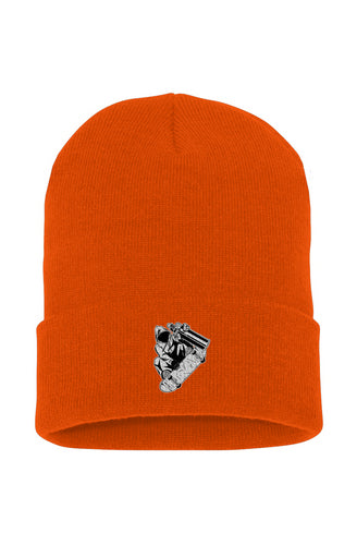 Visionz Cuffed Beanie
