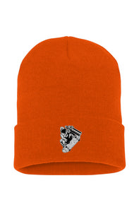 Visionz Cuffed Beanie