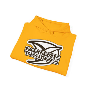 Divine Visionz Streetwear Insignia Hooded Sweatshirt