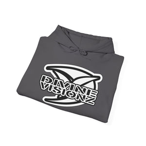 Divine Visionz Streetwear Insignia Hooded Sweatshirt