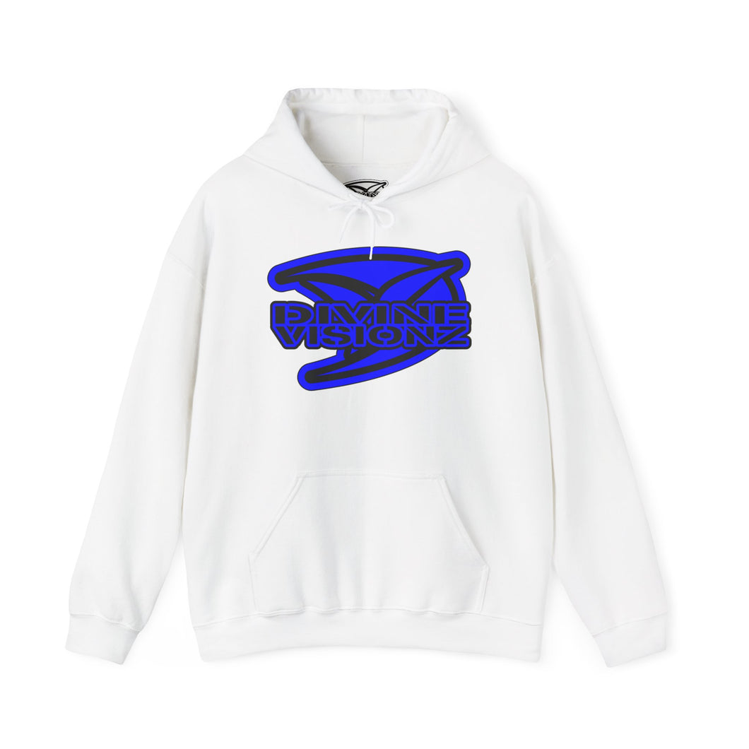 Divine Visionz Streetwear Insignia Hooded Sweatshirt